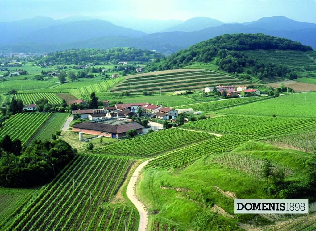 Abbiamo degustato per voi Cocgnac Casa di DOMENIS1898