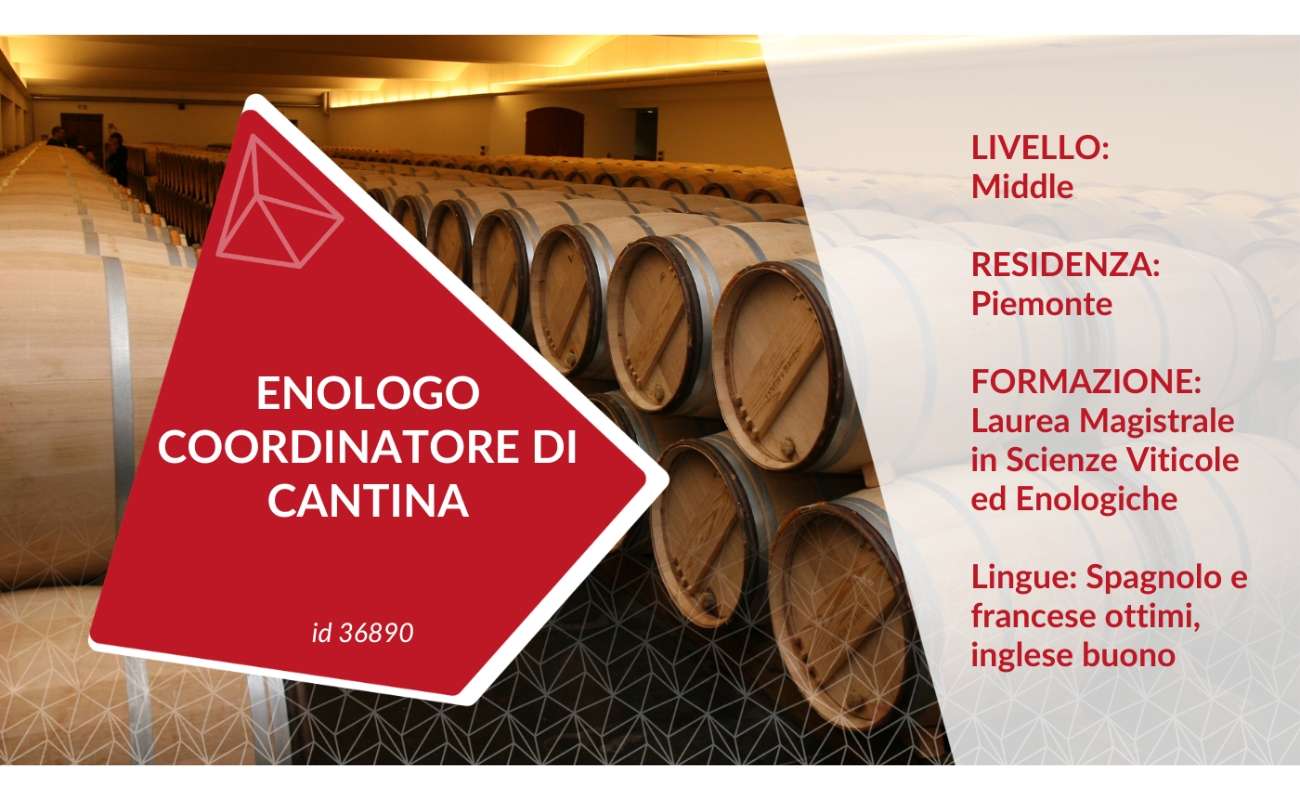 Enologo Coordinatore Cantina