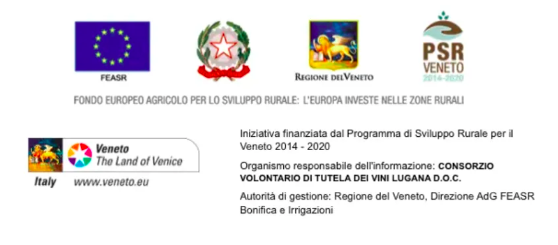 PSR VENETO 1