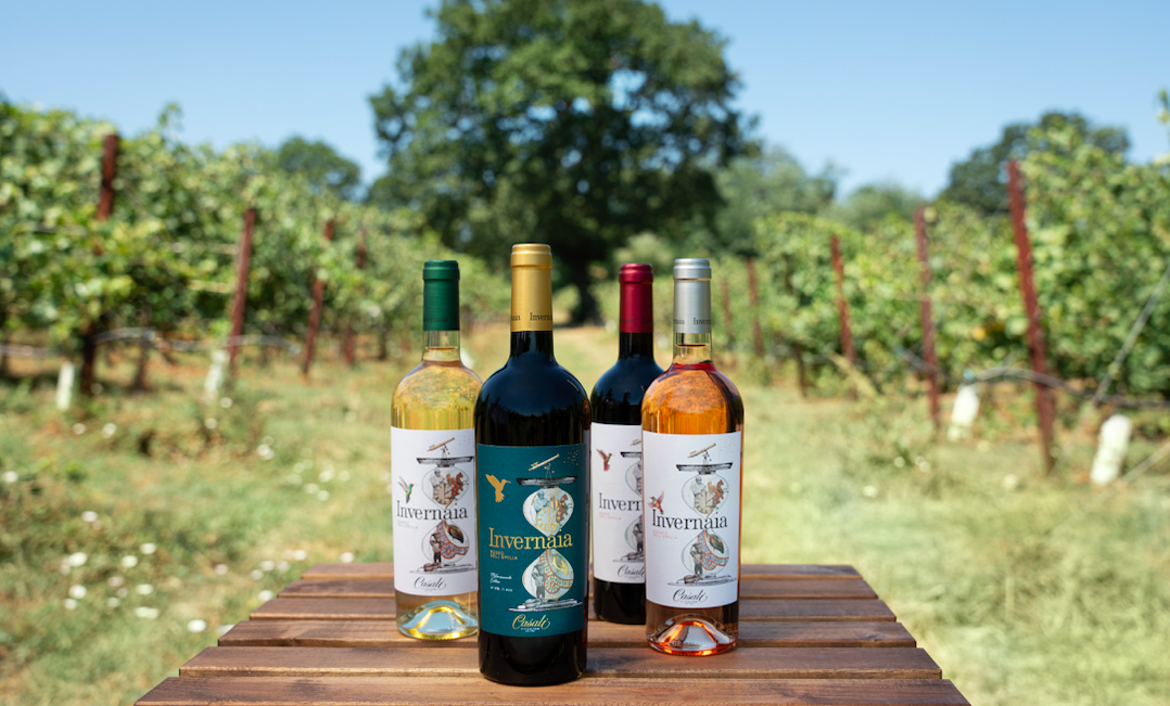 Schermata 2023 12 22 alle 10.08.38