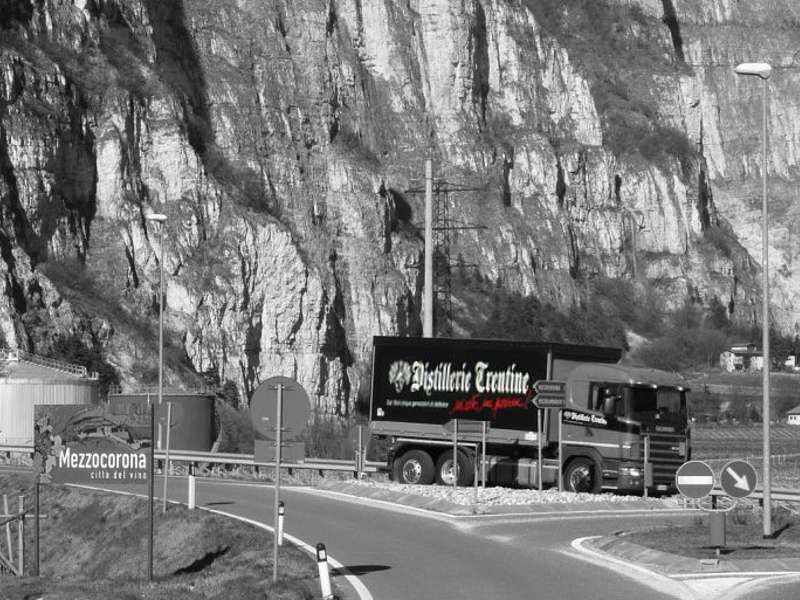 distillerie trentine logo