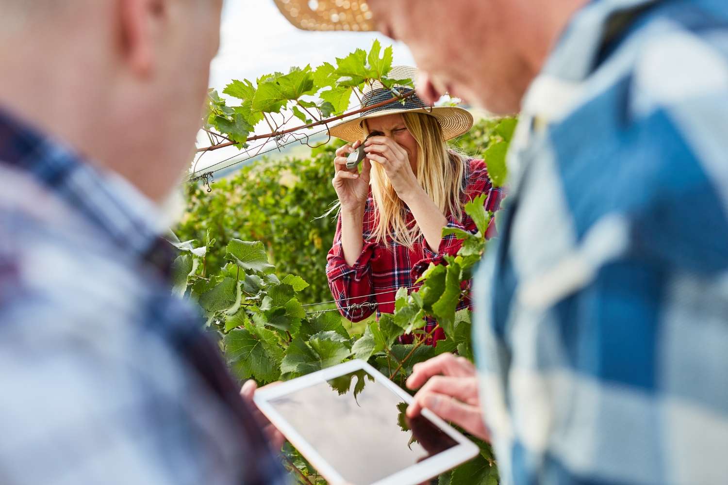 intelligenza artificiale enoturismo wine meridian