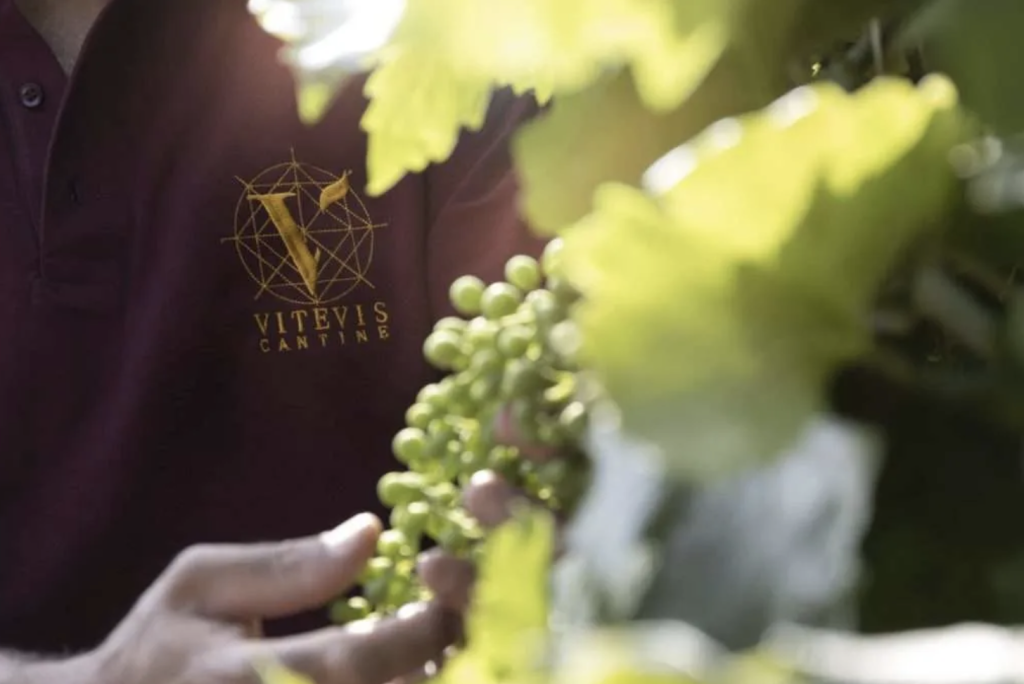 vitevis custoza wine meridian 1