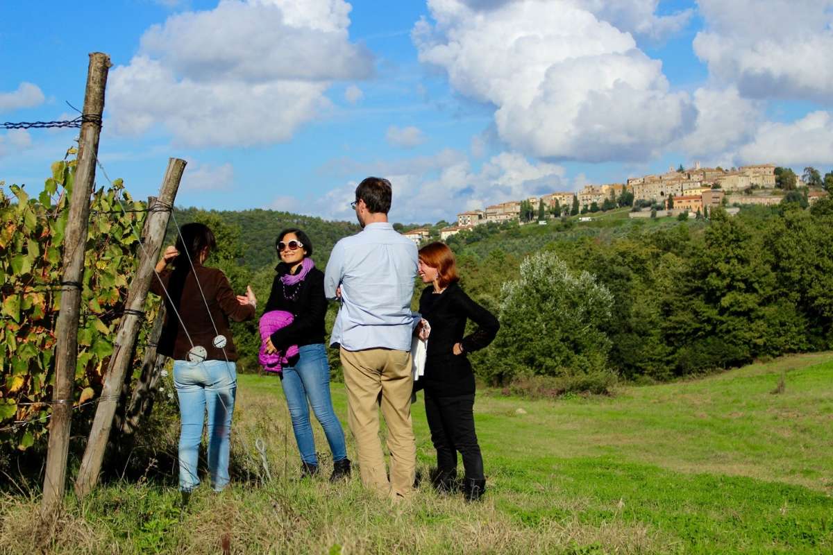A ciascun turista il suo Winery Tour