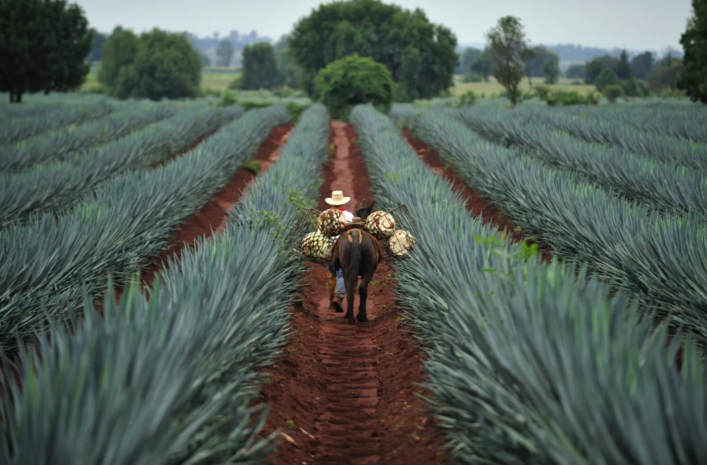 Schermata 2024 01 31 alle 15.34.38