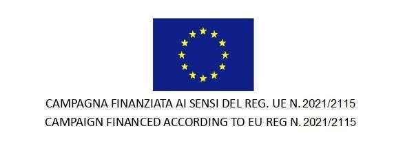 Mandatory Logo OCM 2023