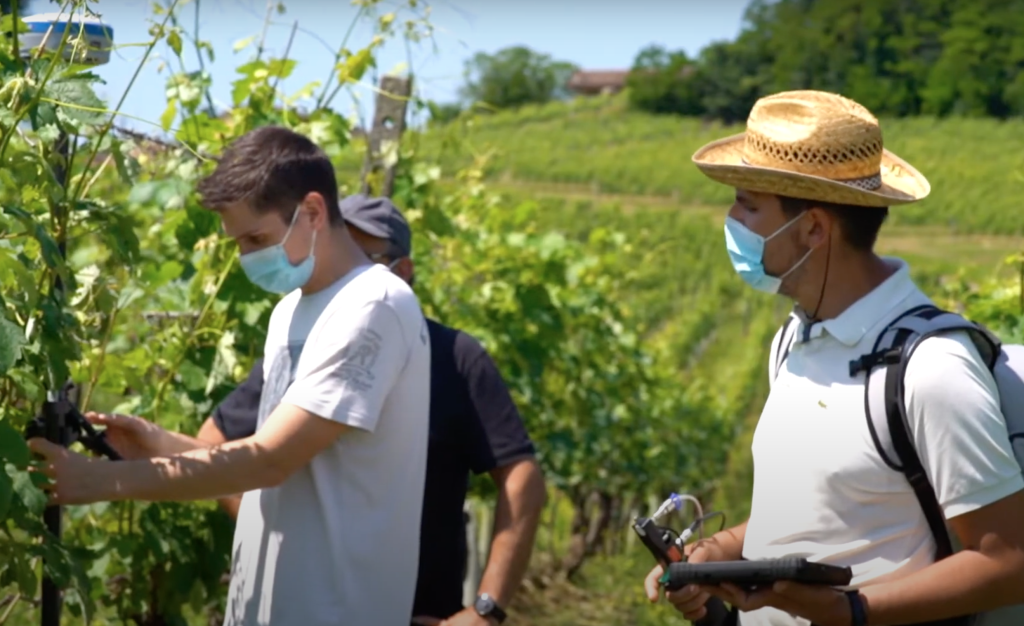 progetto noviagri consorzio barbera