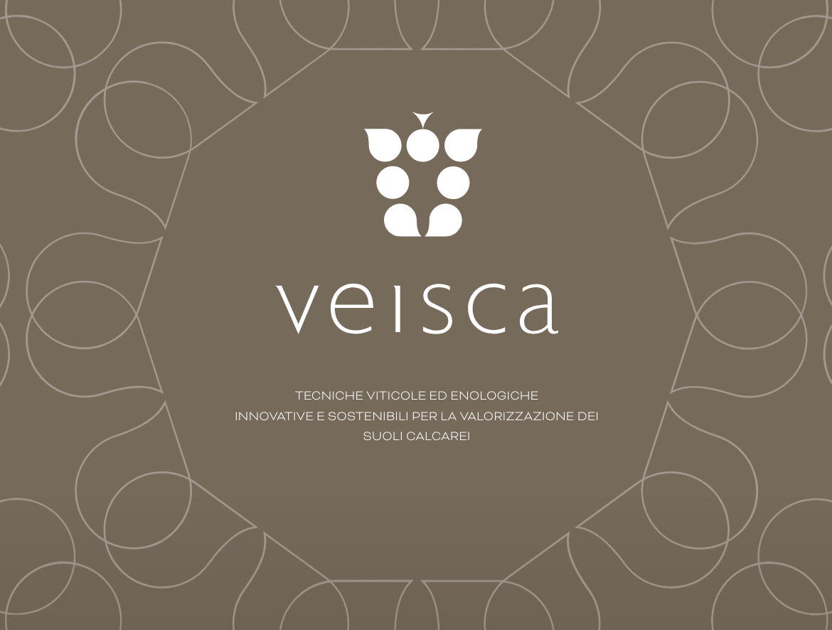 progetto veisca cantine settesoli