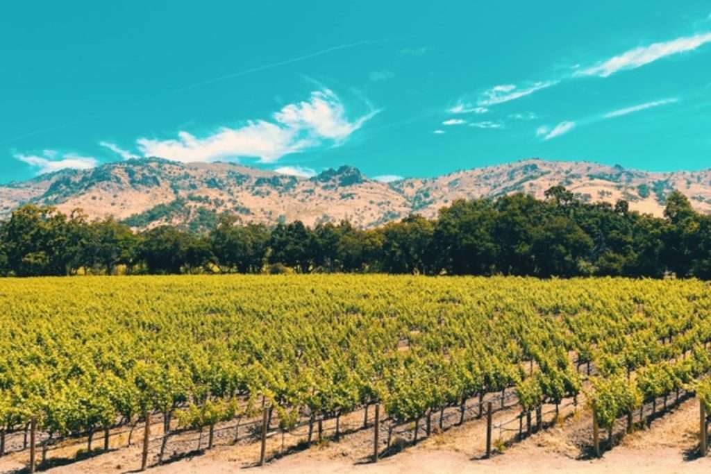 vendite DTC Editoriale