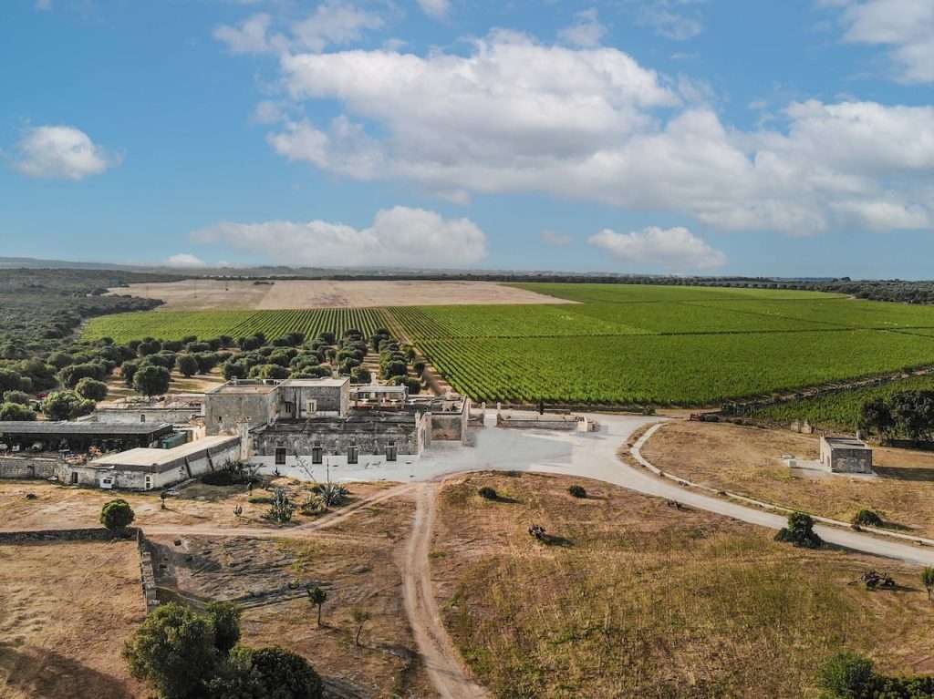 6c787c92 6aa9 43c9 80c0 4c7d246ce98b 2 2