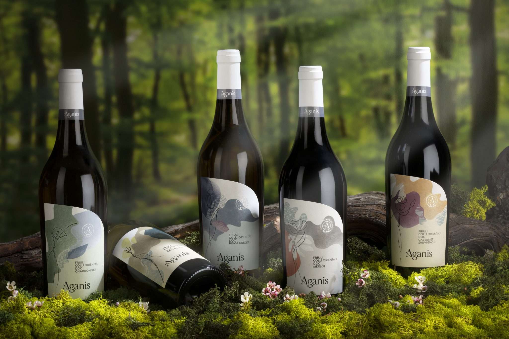 Aganis Internazionali 5