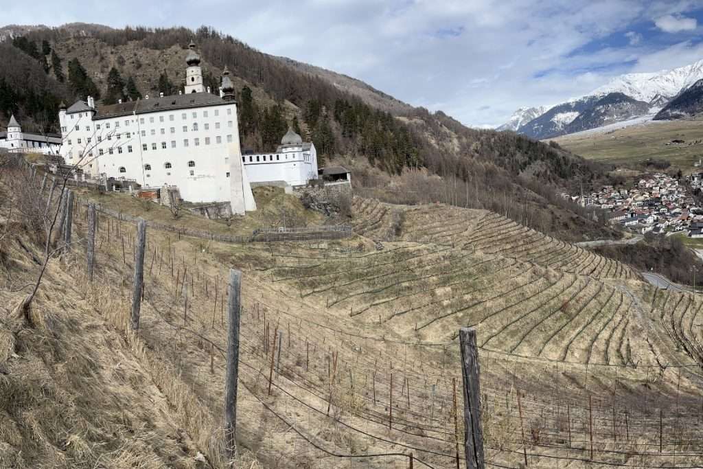 Alla conquista dei terroir estremi l'audacia dei vignaioli “contro la natura”