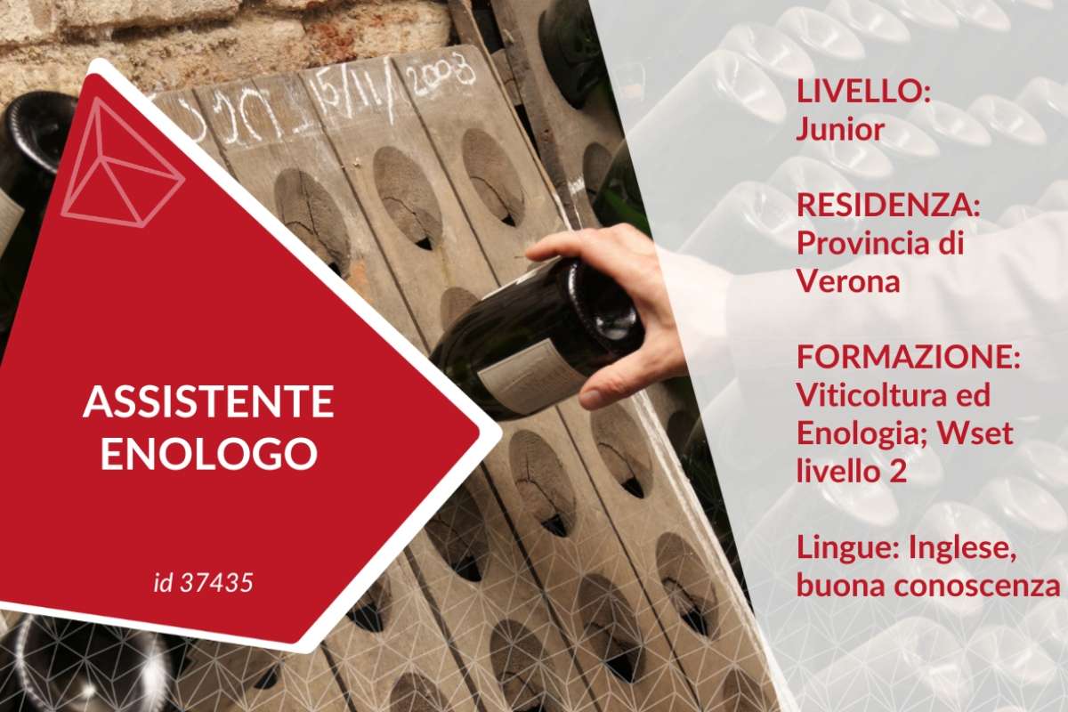 Assistente Enologo