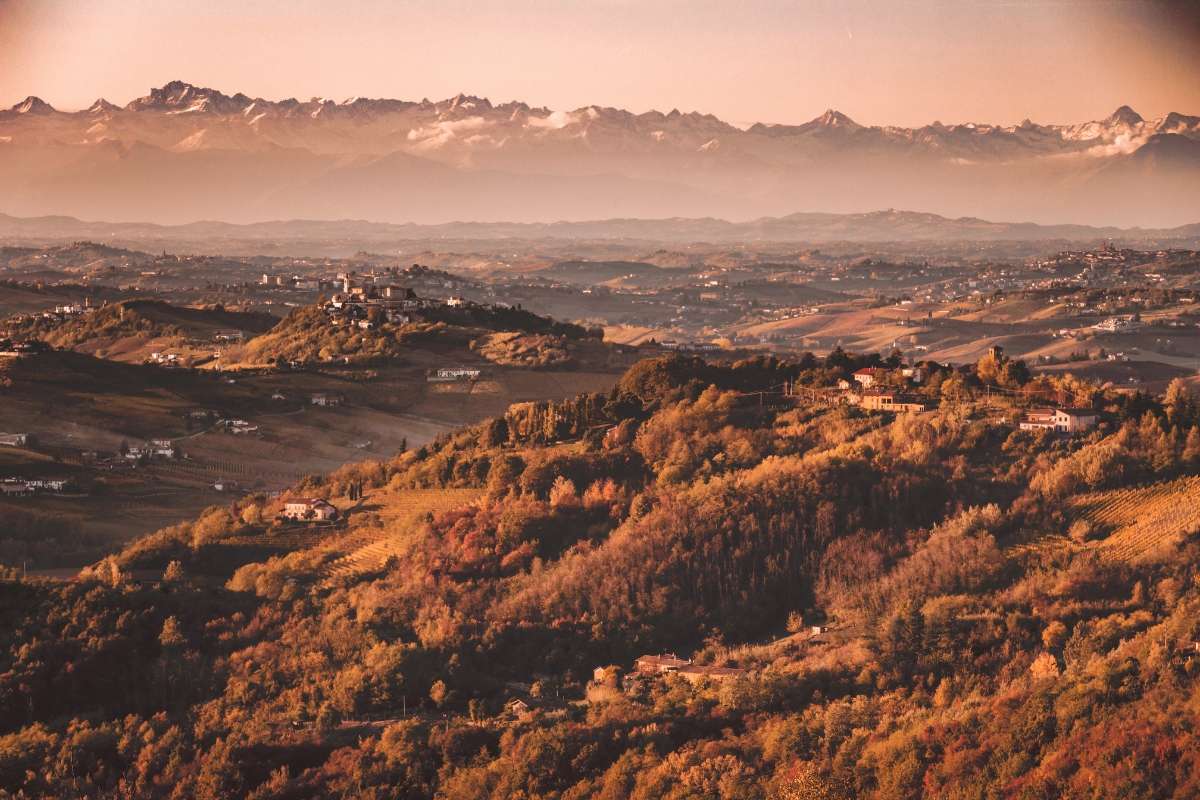 Associazione Produttori del Nizza al via il Forum Nizza in Tour per celebrare i 10 anni della denominazione