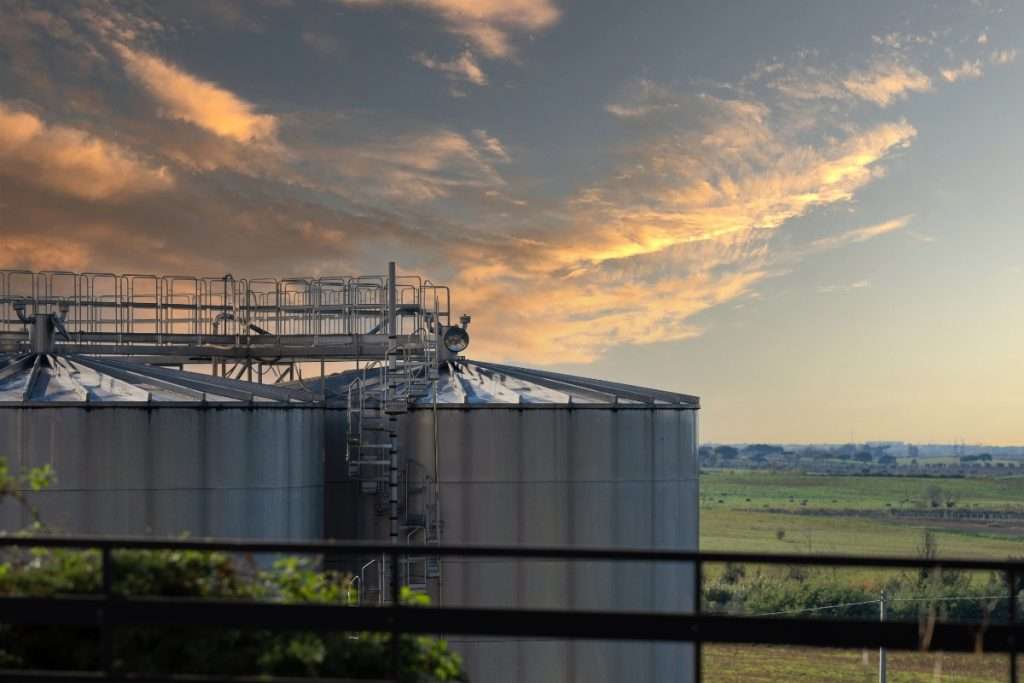 Equalitas Certification for Gotto d’oro