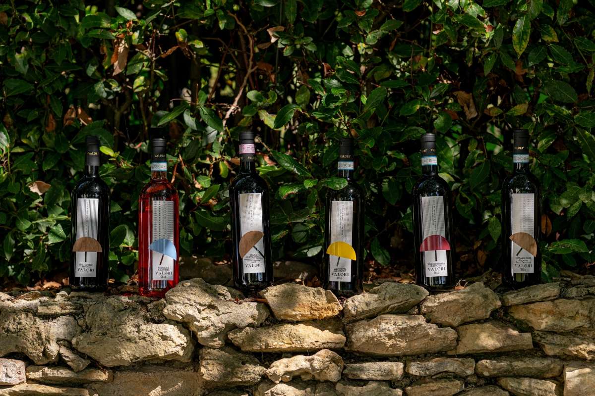 Il bio di Vini Valori entra nel portafoglio Masciarelli