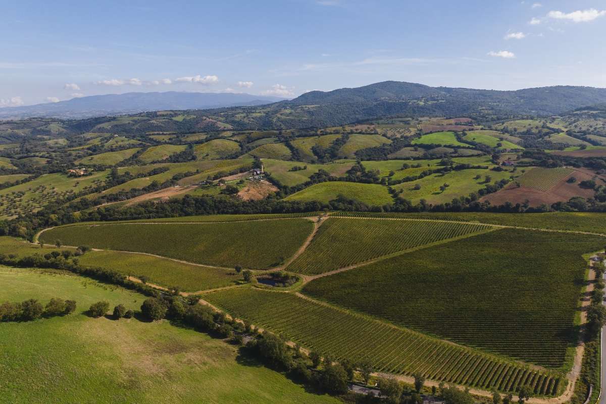 Nuovo marchio consortile per la DOC Maremma Toscana