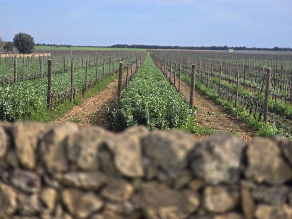 PHOTO 2024 03 18 14 30 32