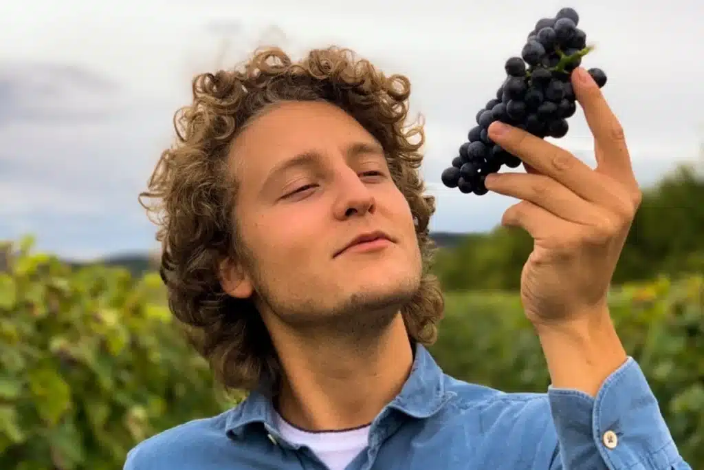 felix jermann vino amorim wine vision