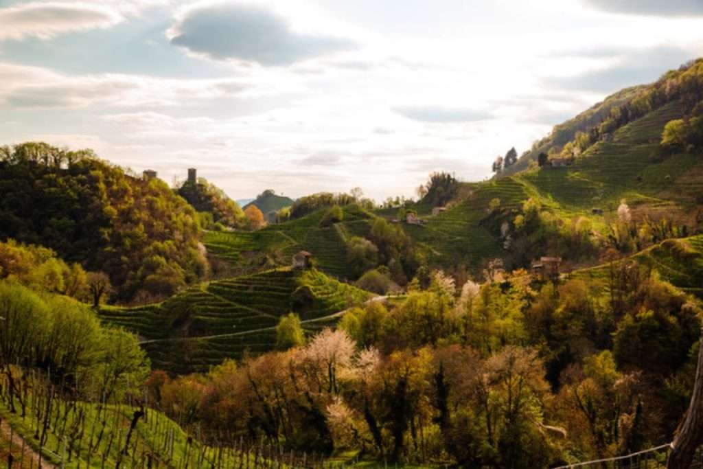 BILANCIO DI SOSTENIBILITA’ RAGGIUNTI CINQUE PUNTI DELL’AGENDA 2030 PER LO SVILUPPO SOSTENIBILE ONU