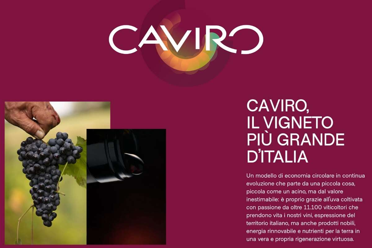 Caviro lancia nuovo sito per promuovere sostenibilità e innovazione