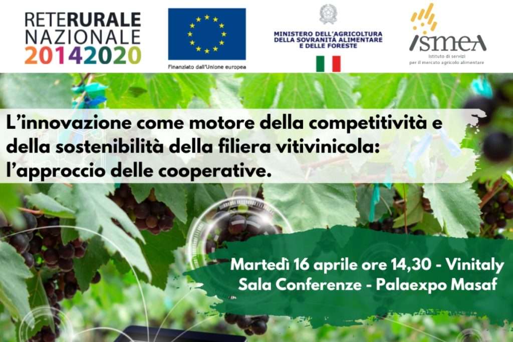 Vinitaly: l'Innovazione nelle cooperative vitivinicole rivoluziona il settore