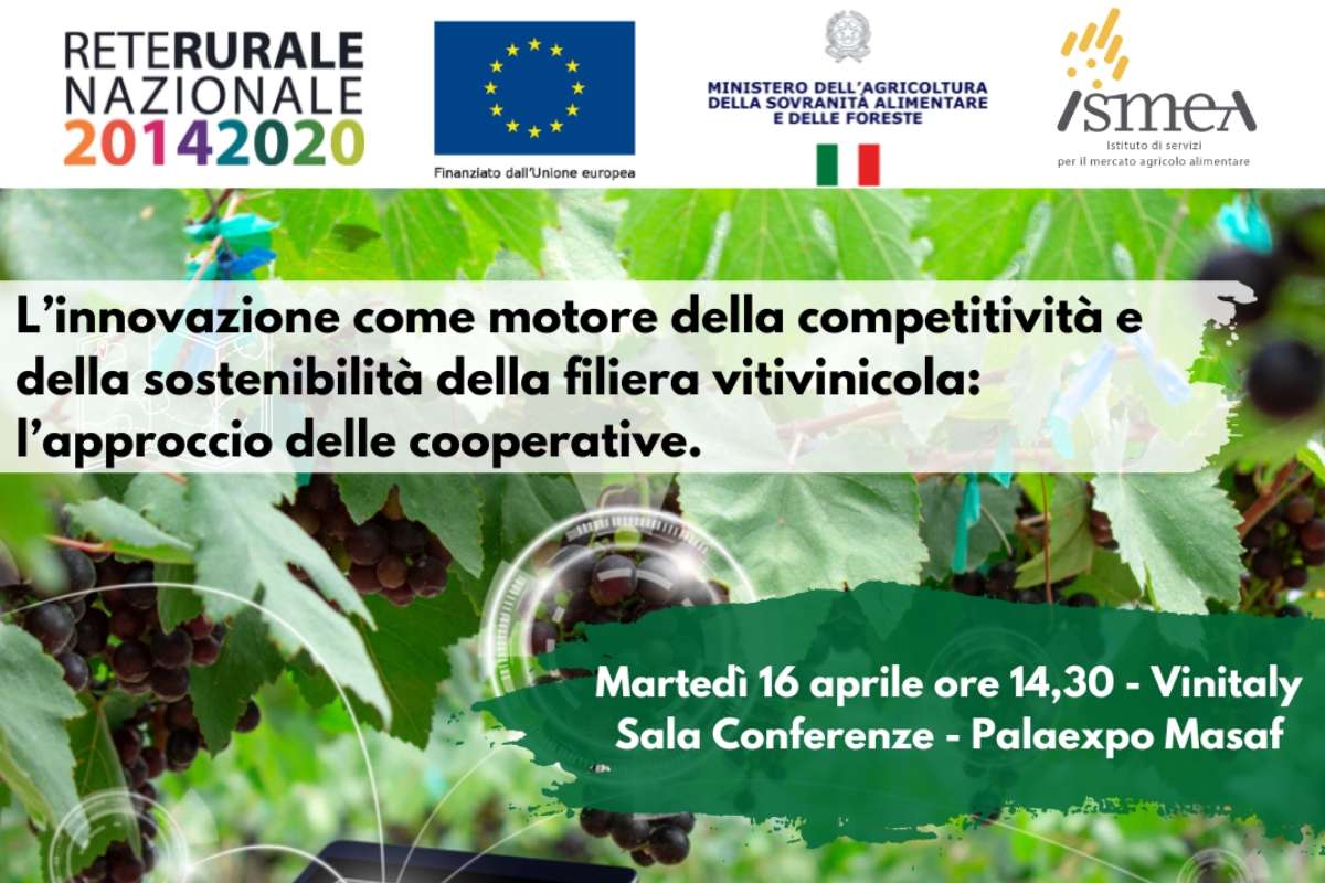 Vinitaly: l'Innovazione nelle cooperative vitivinicole rivoluziona il settore