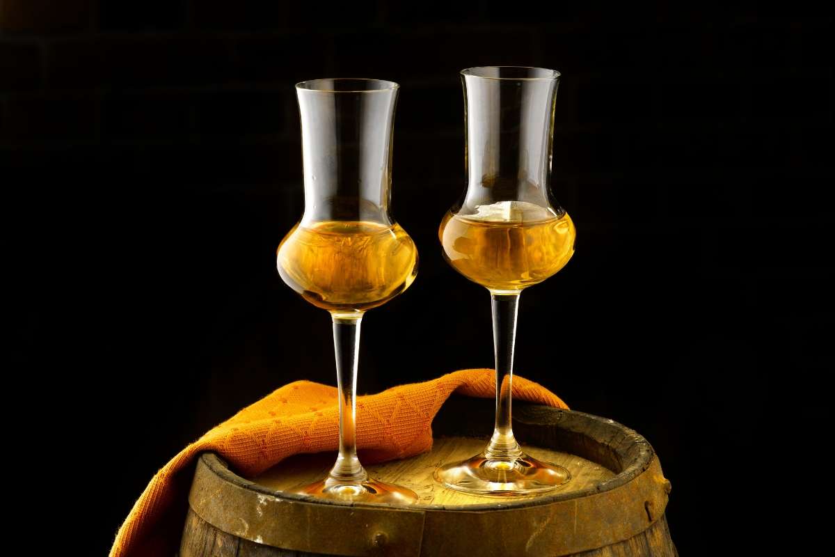 LA GRAPPA DEL TRENTINO PROTAGONISTA AL TRENTO FILM FESTIVAL