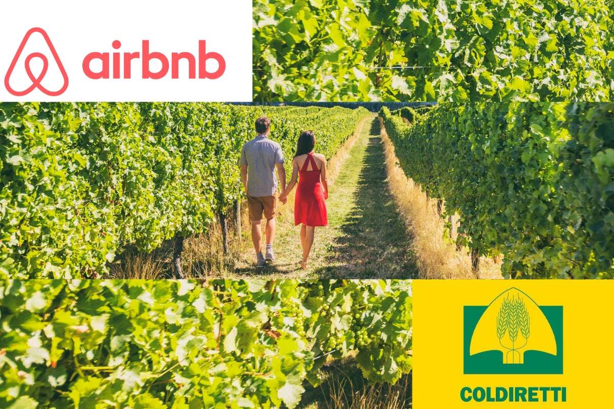L'esplosione dell'enoturismo su Airbnb i dati della piattaforma sono promettenti