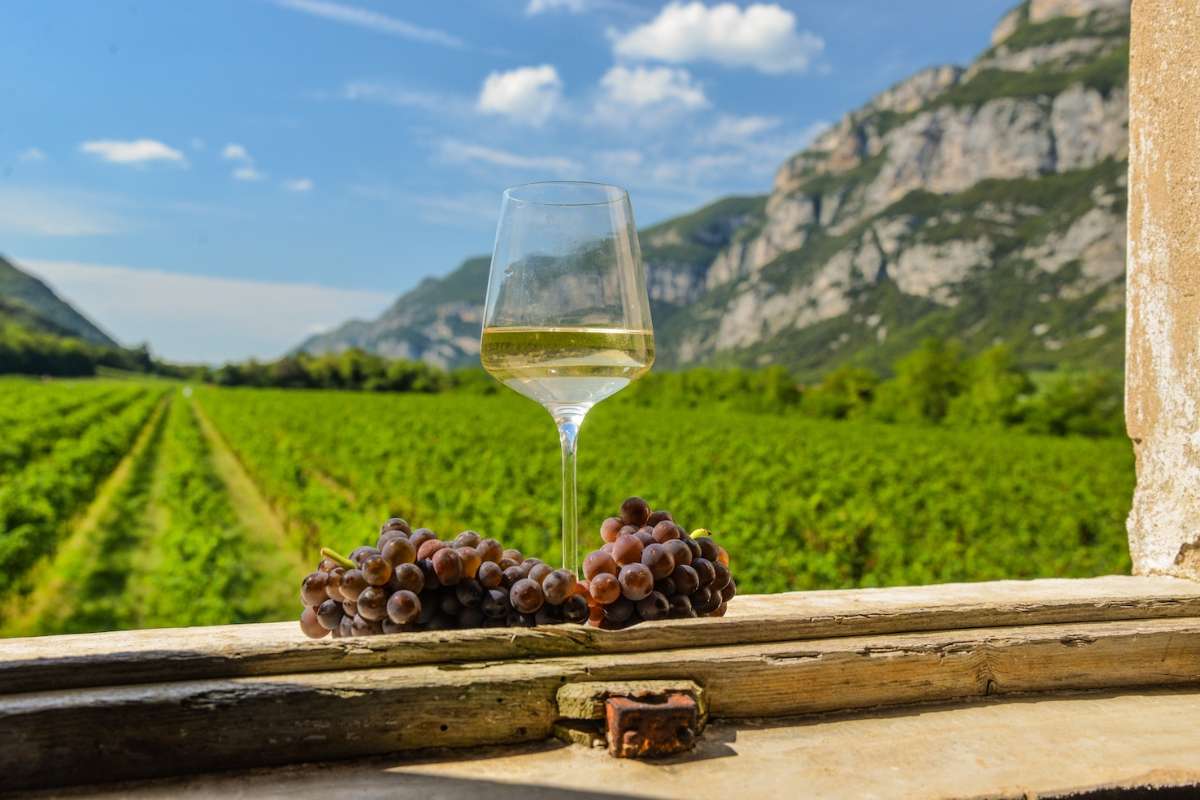 xr:d:DAGAmvWuJ4k:78,j:8007824343395326601,t:24040808