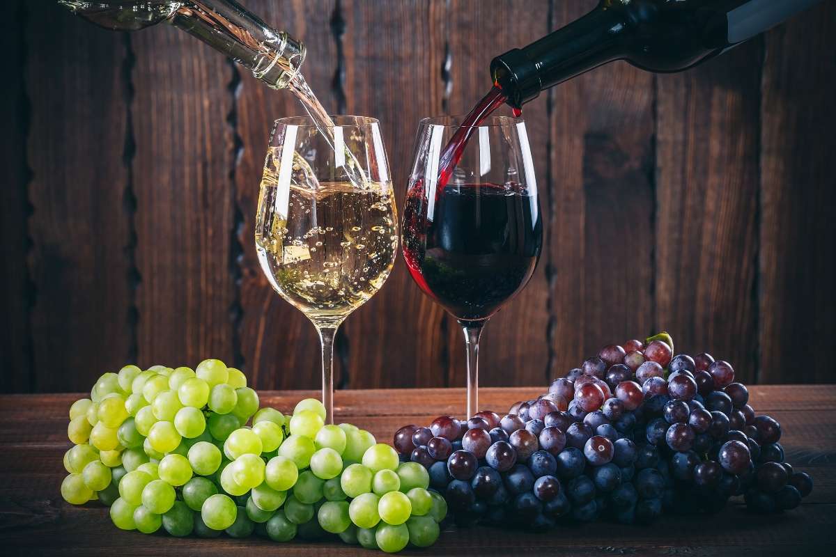 Resilienza e adattabilità: l’industria vinicola Italiana affronta le sfide del 2023