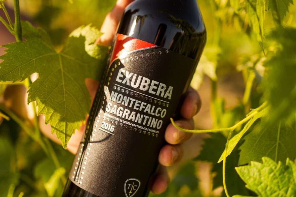 Terre de la Custodia: voglia di rock e identità territoriale