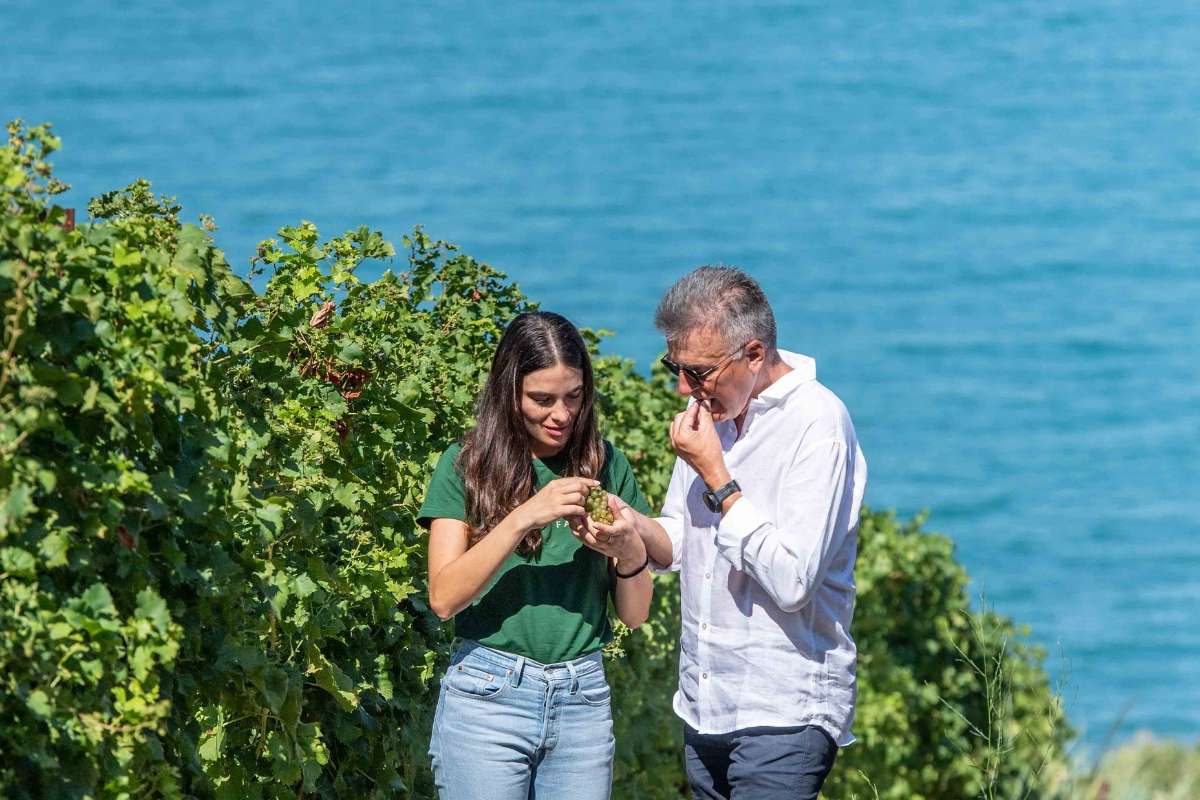 Valentino Sciotti la lezione di successo di Fantini Wines