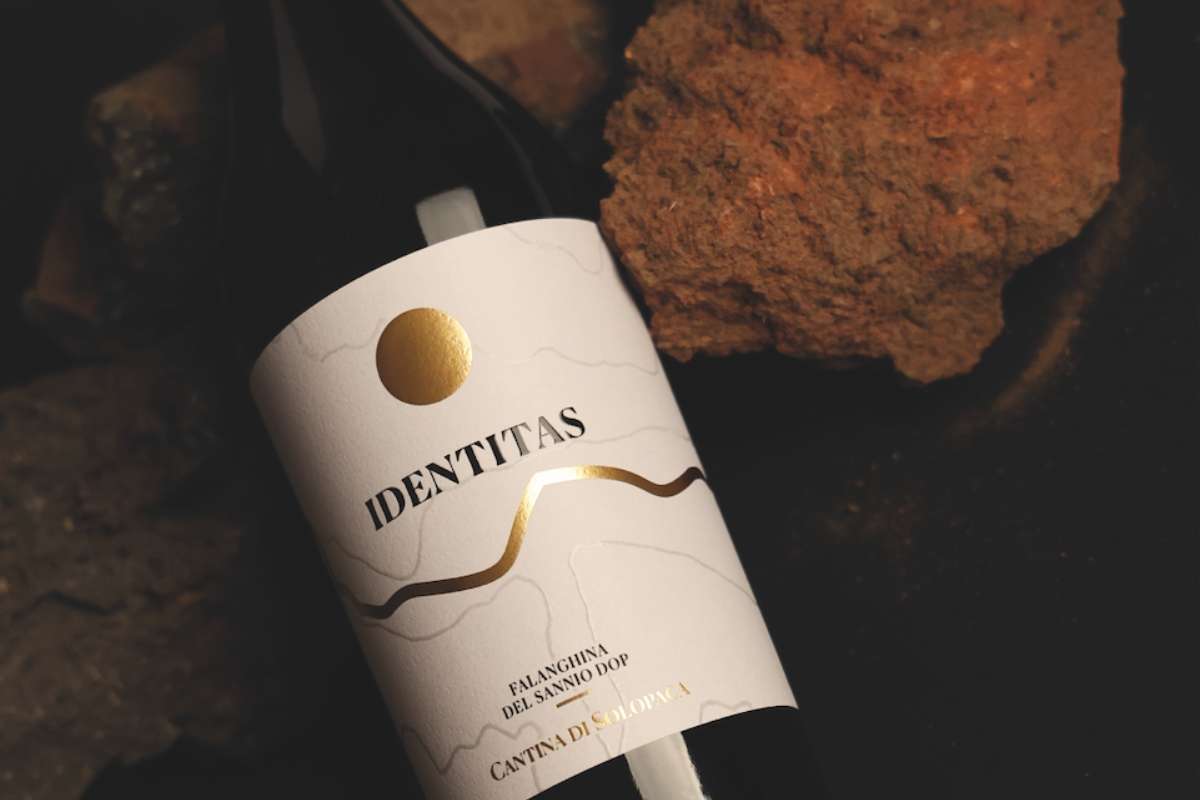 xr:d:DAGAmvWuJ4k:99,j:3997369076396347448,t:24041006