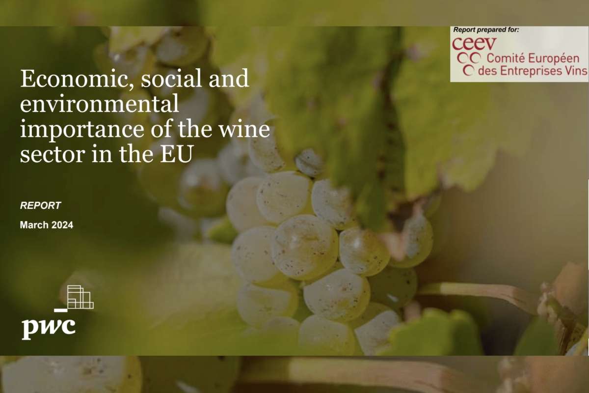 Vino UE pilastro socio economico e custode della cultura