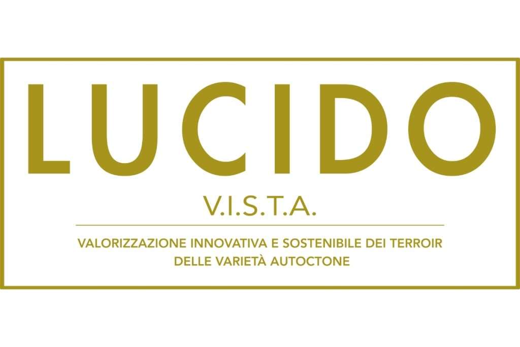 Lucido