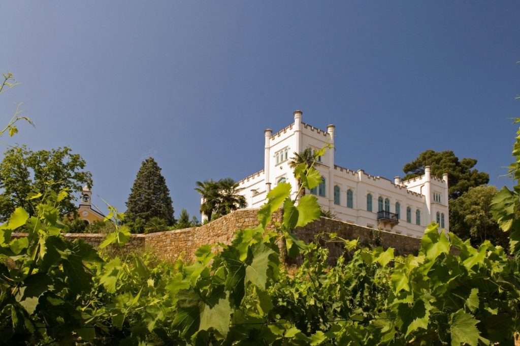 A Villa Russiz, dove si coniuga eccellenza vitivinicola e solidarietà concreta