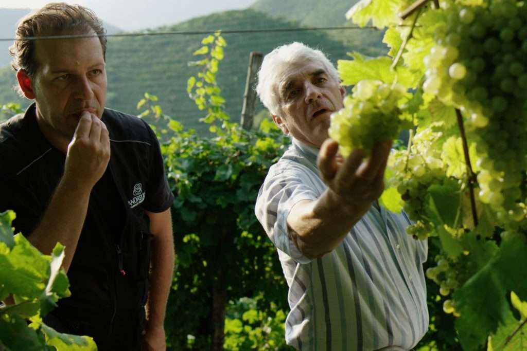 Andreola Celebra 40 anni di successi con il Valdobbiadene DOCG Extra Dry Dirupo