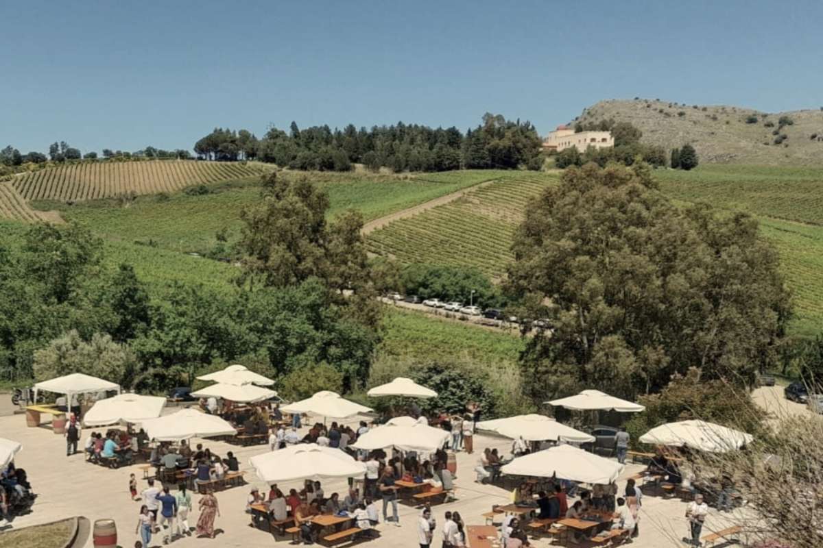 Cantine aperte a Baglio di Pianetto una domenica con i vini d'altura siciliani