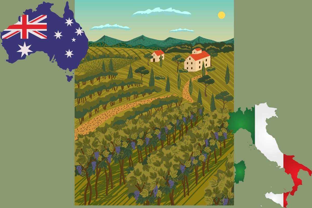Crisi nel settore vitivinicolo un confronto tra Italia e Australia