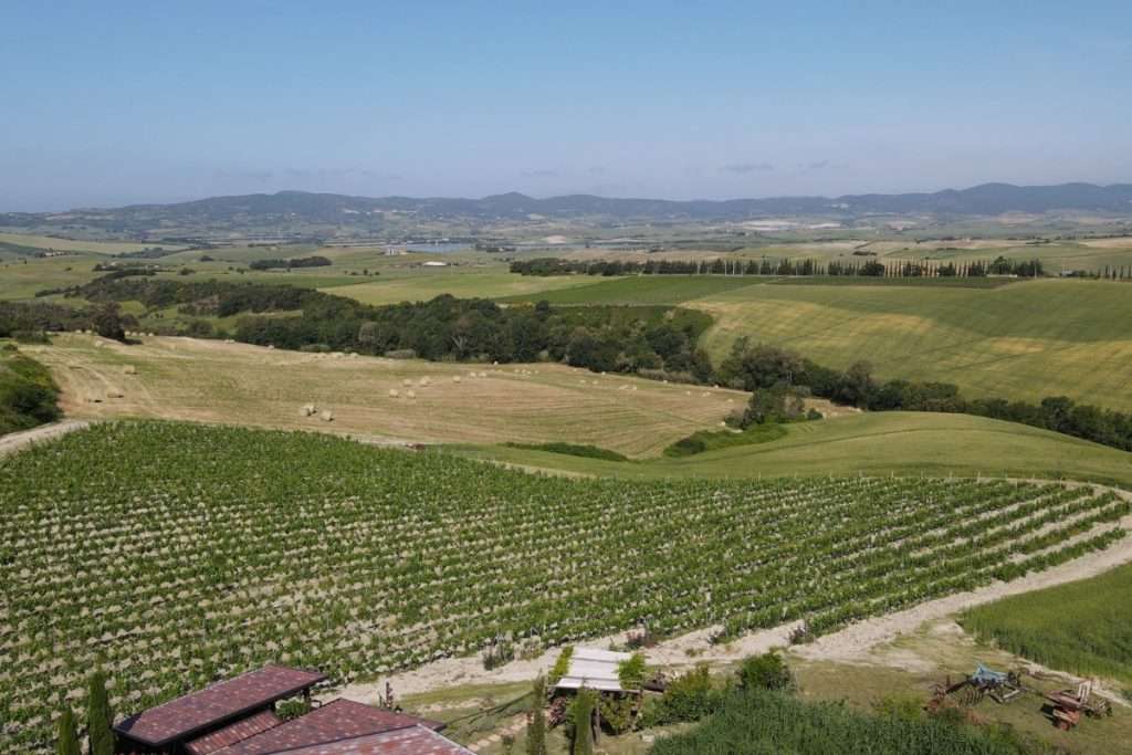 Degustazioni in alta Maremma l'estate di Gianni Moscardini