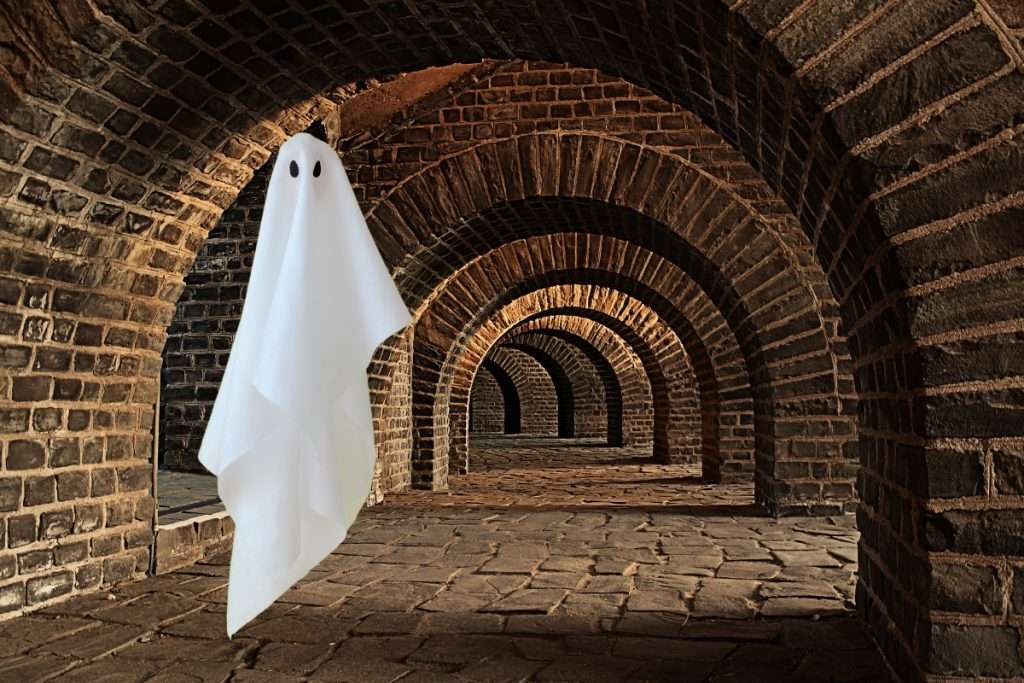 The Power of the phantom guest in wine tourism