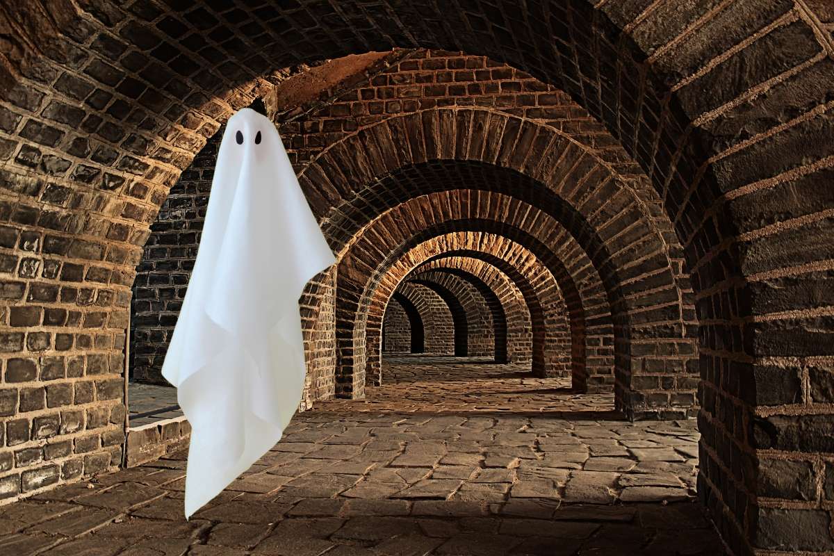 The Power of the phantom guest in wine tourism