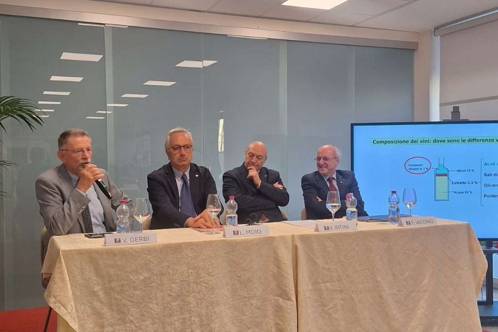 In Vino Veritas la cultura del vino come pilastro della civiltà umana