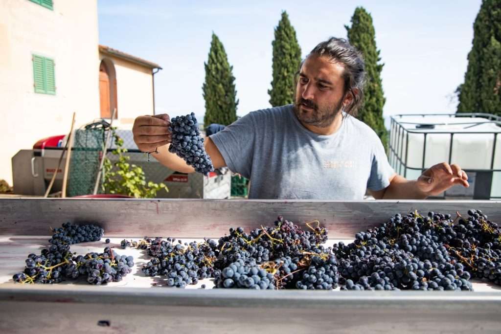 Intervista a Edoardo Ceri, premiato come Cantina emergente 2024