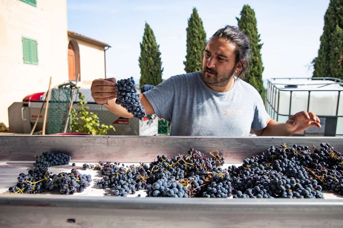 Intervista a Edoardo Ceri, premiato come Cantina emergente 2024