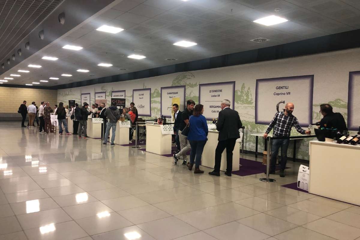 Irresistibile PIWI le viti che sfidano i cambiamenti climatici, le difficoltà e il mercato