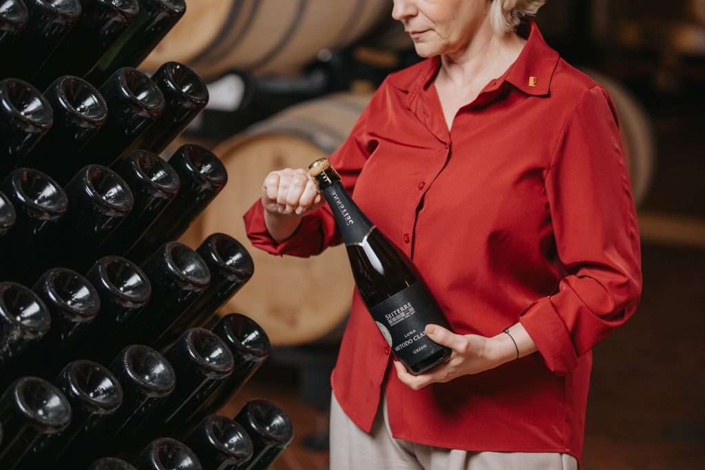 SeiTerre 29 03 24 76 1