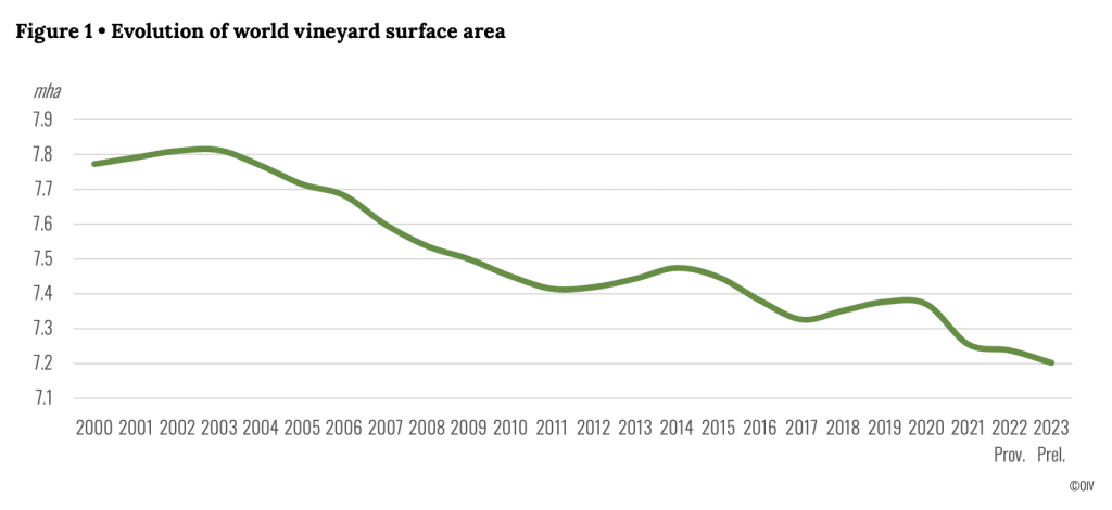 superfici vigneti 2023