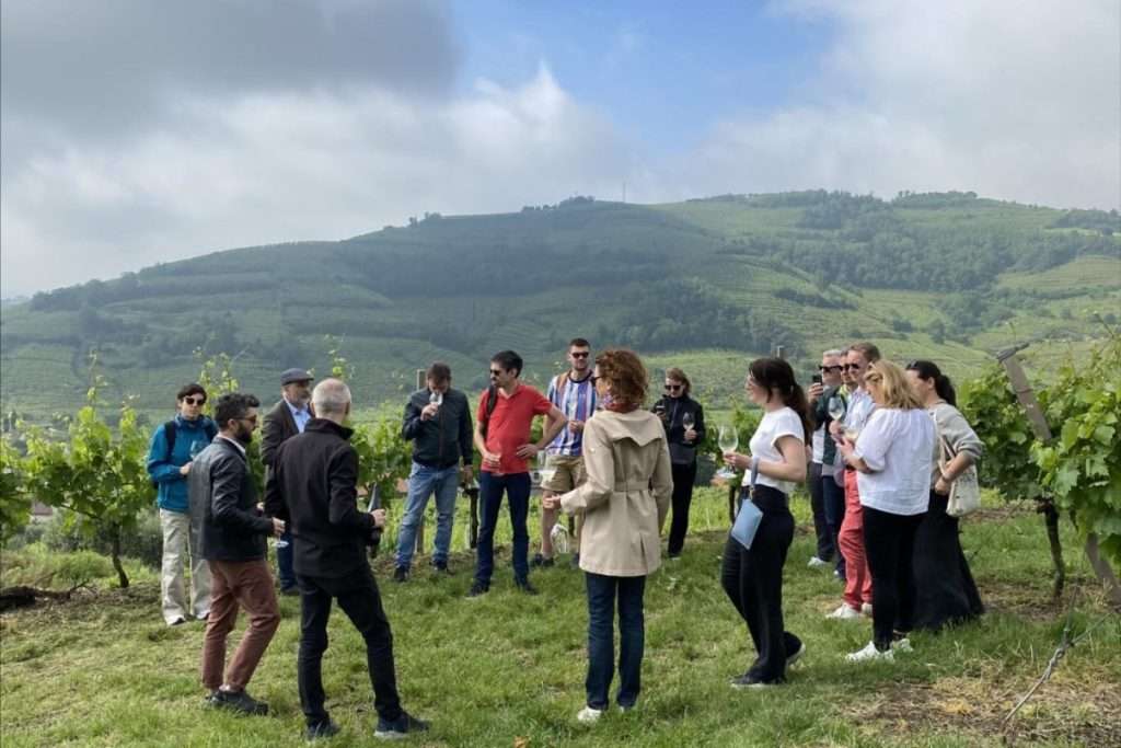 Bilancio positivo per il primo semestre 2024 di Heva – Heroes of Europe Volcanic Agriculture